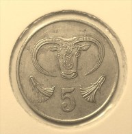 @Y@    Cyprus   5  Cent     1983      (2853) - Cyprus