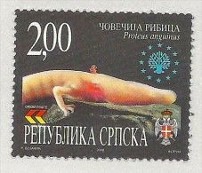 Bosnia / Herzegovina - Serbia 2000. European Nature Protection, Fauna, Faune, Proteus Anguinus MNH - Ongebruikt