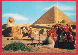 162697 / GIZA - CAMEL , GREAT SPHINX AND CHEOPS PYRAMID  - Egypt Egypte Agypten Egitto Egipto - Sphinx