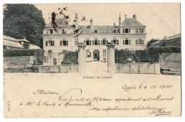 CPA Schweiz/Suisse: Château De Coppet/ Schloss Coppet, Madame De Staël, 1900, 2 Scans - Coppet