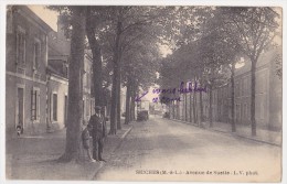 Avenue De Suette - Seiches Sur Le Loir