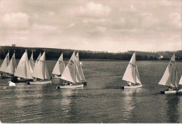 Gustrow  Segelregatta Auf Den Inselsee - Güstrow