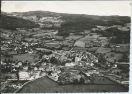 Belmont De La Loire-Vue Générale Aérienne (Légère Corne En Haut à Droite,voir Scan)-(CPSM). - Belmont De La Loire