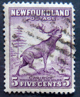 NEWFOUNDLAND 1932 5c Caribou Used - 1908-1947