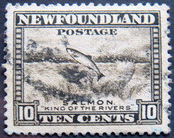 NEWFOUNDLAND 1932 10c Salmon Used - 1908-1947