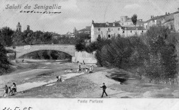 CARTOLINA D'EPOCA  DI SENIGALLIA PONTE PORTONE RARISSIMA!!! VIAGGIATA NEL 1905 - Senigallia