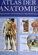 Atlas Der Anatomie 2006 Antiquarisch 32€ Organ-Systeme Und Strukturen Mit 439 Abbildungen/Fotos Medica Lexika Of Germany - Health & Medecine