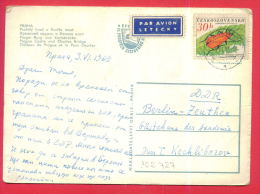 162727 / PAR AVION 1963  To BULGARIA - PRAHA - PRAGUE CASTLE , BRIDGE   - INSECT Czechoslovakia Tchecoslovaquie - Storia Postale