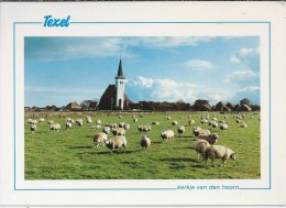 NL.- Texel. Kerkje Van Den Hoorn. Kerk. Schapen. 2 Scans - Texel