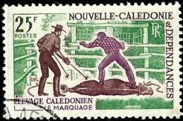 NEW CALEDONIA 25 FRANCS ELEVAGE CALEDONIEN LE MARQUAGE MAN ANIMAL SET OF 1 USEDNH 1980's(?) SG468 READ DESCRIPTION !! - Used Stamps