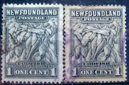 NEWFOUNDLAND 1932 1c Codfish USED 2 Stamps - 1908-1947