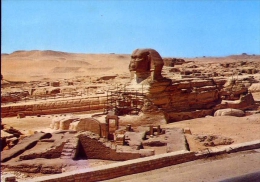 Giza - The Grat Sphinx - Egypt - Formato Grande Viaggiata - Guiza