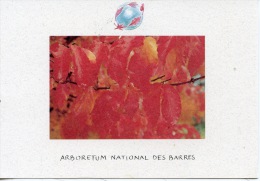 Arbre De Perse : Parrotia Persica FRUTICETUM - Nogent Sur Vernisson : Arboretum National Des Barres - Árboles