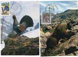 ANDORRE CARTE MAXIMUM DES N°210/211 OURS  ET COQ DE BRUYERE OBLITERATION 1er JOUR  ANDORRE LA VIEILLE 24 AVRIL 1971 - Cartas Máxima