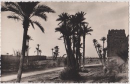 MAROC,MARRAKECH En 1950,MURRAKUSH,ville Ocre,pied Des Montagnes De L´atlas,palmeraie,rare - Marrakesh