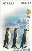 2-CARTES-PREPAYEES-2002-CHINA TELECOM-PINGUOINS-TBE - Pinguïns & Vetganzen