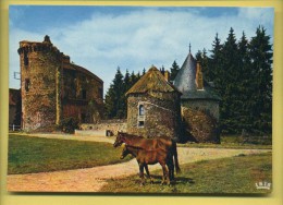 19 Pompadour Domaine De La Riviére ( Chevaux ) - Arnac Pompadour