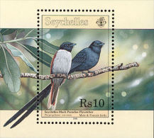 MDB-BK2-149 MINT ¤ SEYCHELLES 1996 BLOCK ¤ - OISEAUX - BIRDS - PAJAROS - VOGELS - VÖGEL - - Uccelli Canterini Ed Arboricoli