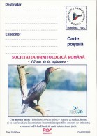 13189- GREAT BLACK CORMORANT, POSTCARD STATIONERY, 2000, ROMANIA - Marine Web-footed Birds