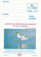 13190- PIED AVOSET, BIRDS, POSTCARD STATIONERY, 2000, ROMANIA - Storchenvögel