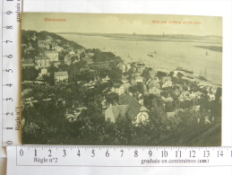 CPA Allemagne - Blankenese - Blick Vom Sulberg Auf Die Elbe - Blankenese