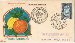 R 850. Carta ALGER (Argelia) 1954. Agricultura Congres. Fruits Orange - Storia Postale