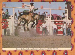 1 Cp Calgary Stampede - Cartes Modernes