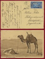 SENEGAL-YUGOSLAVIA, CARD CAMEL/PRAY MOTIF DAKAR-SARAJEVO 1930 RARE!!!!! - Covers & Documents