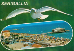 SENIGALLIA   MULTIVEDUTE            (VIAGGIATA) - Senigallia