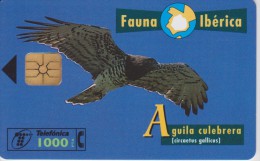 TELECARTE ESPAGNOLE :  OISEAUX RAPACES - Eagles & Birds Of Prey