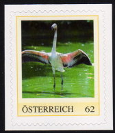 ÖSTERREICH 2011 ** Rosa Flamingo / Phoenicopterus Roseus - PM Personalized Stamp MNH - Flamants