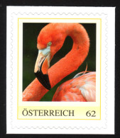 ÖSTERREICH 2011 ** Roter Flamingo / Phoenicopterus Ruber - PM Personalized Stamp MNH - Flamingo