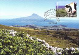 ACORES CARTE MAXI NUM.YVERT 498  TOURISME - Maximum Cards & Covers