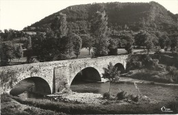 Lozere : Chanac, Le Pont Vieux Sur Le Lot - Chanac