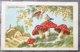 Cpa Litho Illustrateur Oiseau Oiseaux Et Gros Champignon Rouge Mimosa Voyagé 1954 Cachet Zulte - Paddestoelen