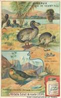 CHROMO LIEBIG - Oiseaux Qui Ne Volent Pas - Dronte Perruche-Chouette - Série Belge N° 946 - Année 1908 - Liebig