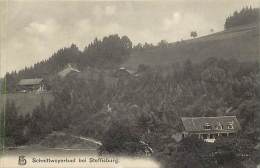 Ref E558- Suisse -  Schnittweyerbad Bei Steffisburg  - Carte Bon Etat  - - Steffisburg