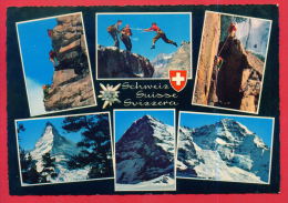 163007 / MONTAIN SPORT Climbing Escalade Bergsteigen - Switzerland Suisse Schweiz Zwitserland - Climbing
