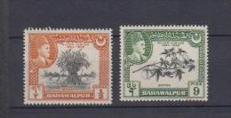 Bahawalpur YV 19/0 N 1949 Flore - Bahawalpur