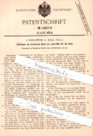 Original Patent - L. Zaslawski In Hall , Tirol , 1901 , Hundelager Mit Boden !!! - Hall In Tirol