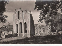 1950 CIRCA VALLE CRUCIS ABBEY LLANGOLLEN - VIEW FROM THE NORTH EAST - Denbighshire