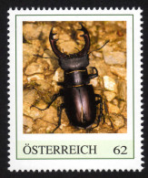 ÖSTERREICH 2012 ** Hirschkäfer / Lucanus Cervus - PM Personalized Stamp MNH - Timbres Personnalisés