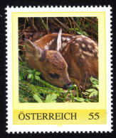 ÖSTERREICH 2007 ** Junges Reh, Kitz, Deer - PM Personalized Stamp MNH - Personnalized Stamps