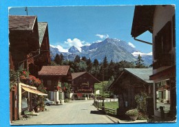 OV1169, Lauenen, Wildhorn, GF, Circulée 1976 - Lauenen