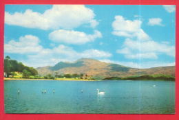 163064 / LOCH LOMOND FROM BEN LOMOND , SWAN - USED 1968 Great Britain Grande-Bretagne Grossbritannien Gran Bretagna - Wigtownshire