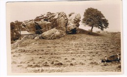 UK2139     BIDDULPH : Biddulph Moor - Wickenstone Rocks - Altri & Non Classificati