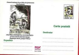 ROUMANIE Entier Postal 1998. Homme Prehistorique: AUSTRALANTHROPUS OLTENIENSIS - Vor- U. Frühgeschichte