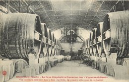 MARAUSSAN LA CAVE COOPERATIVE DES VIGNERONS LIBRES VUE INTERIEURE LES FILTRES LES PRESSOIRS AVEC DESCRIPTIF AU VERSO - Autres & Non Classés