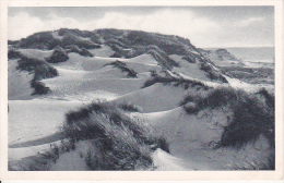 AK Sylt - Dünenpartie - 1953 (12300) - Sylt