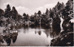 AK Marktschorgast Im Fichtelgebirge - 1959 (12324) - Kulmbach